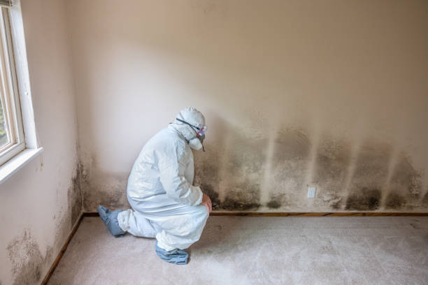 Forensic Mold Investigation in Rio Dell, CA